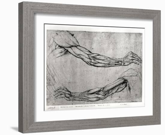 Study of Arms-Leonardo da Vinci-Framed Giclee Print