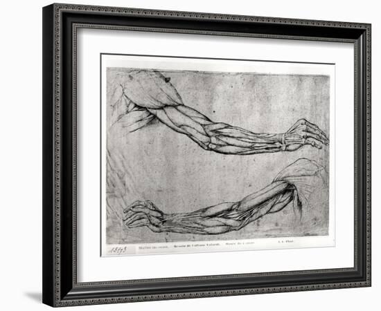 Study of Arms-Leonardo da Vinci-Framed Giclee Print