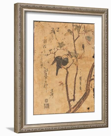 Study of Bird Asleep on Branch, 19Th Century (Woodblock Print)-Ando or Utagawa Hiroshige-Framed Giclee Print