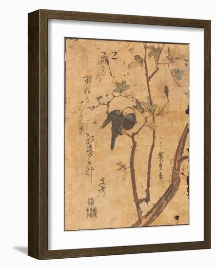 Study of Bird Asleep on Branch, 19Th Century (Woodblock Print)-Ando or Utagawa Hiroshige-Framed Giclee Print