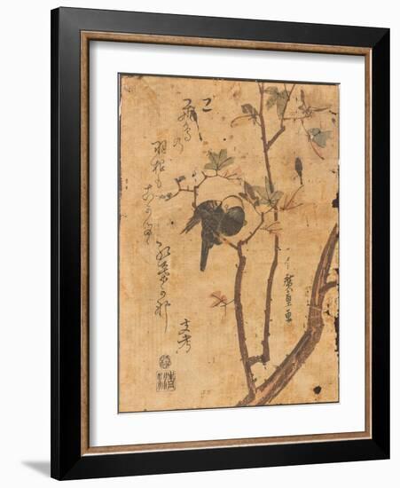 Study of Bird Asleep on Branch, 19Th Century (Woodblock Print)-Ando or Utagawa Hiroshige-Framed Giclee Print