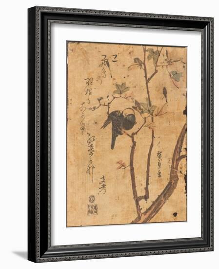 Study of Bird Asleep on Branch, 19Th Century (Woodblock Print)-Ando or Utagawa Hiroshige-Framed Giclee Print