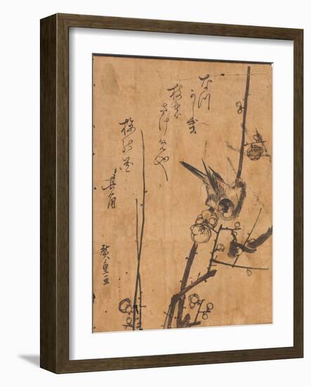 Study of Bird Perched on Branch, 19Th Century (Woodblock Print)-Ando or Utagawa Hiroshige-Framed Giclee Print