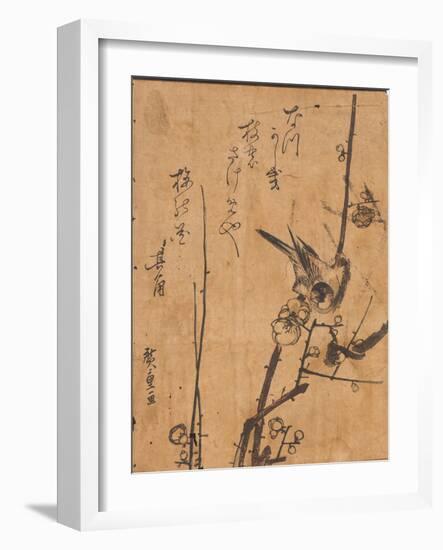 Study of Bird Perched on Branch, 19Th Century (Woodblock Print)-Ando or Utagawa Hiroshige-Framed Giclee Print