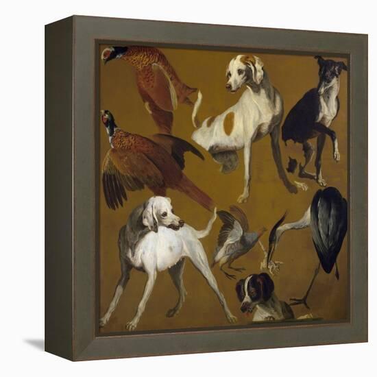 Study of Birds and Dogs, by Alexandre-Francois Desportes (1661-1743), France, 18th Century-Alexandre-Francois Desportes-Framed Premier Image Canvas