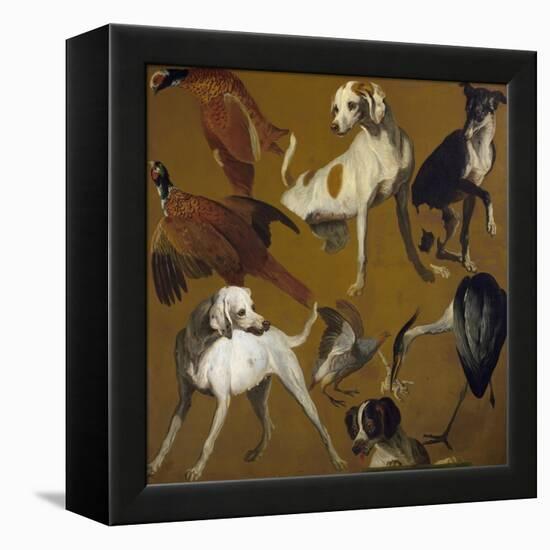 Study of Birds and Dogs, by Alexandre-Francois Desportes (1661-1743), France, 18th Century-Alexandre-Francois Desportes-Framed Premier Image Canvas