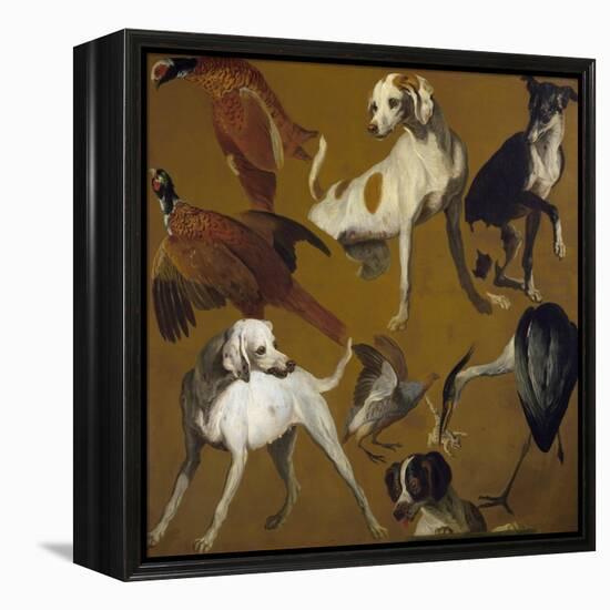 Study of Birds and Dogs, by Alexandre-Francois Desportes (1661-1743), France, 18th Century-Alexandre-Francois Desportes-Framed Premier Image Canvas