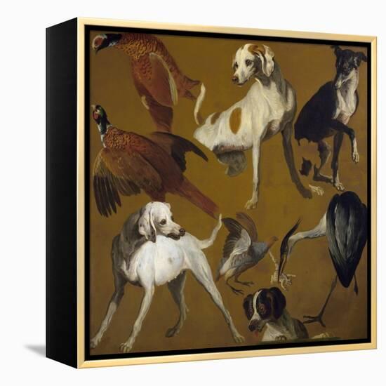 Study of Birds and Dogs, by Alexandre-Francois Desportes (1661-1743), France, 18th Century-Alexandre-Francois Desportes-Framed Premier Image Canvas