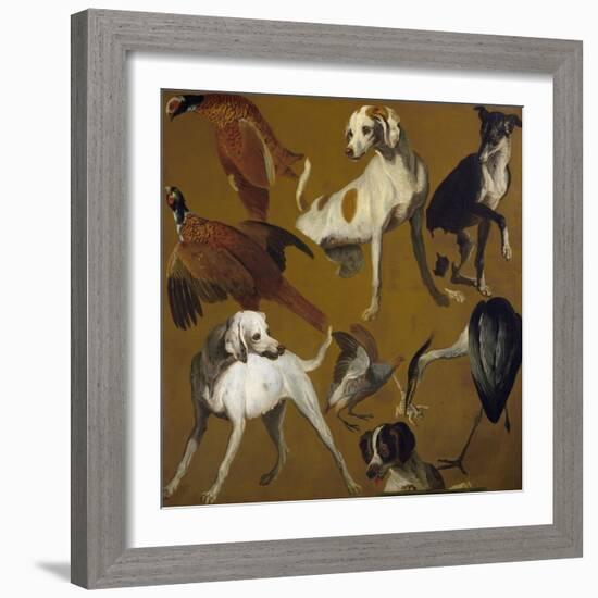 Study of Birds and Dogs, by Alexandre-Francois Desportes (1661-1743), France, 18th Century-Alexandre-Francois Desportes-Framed Giclee Print