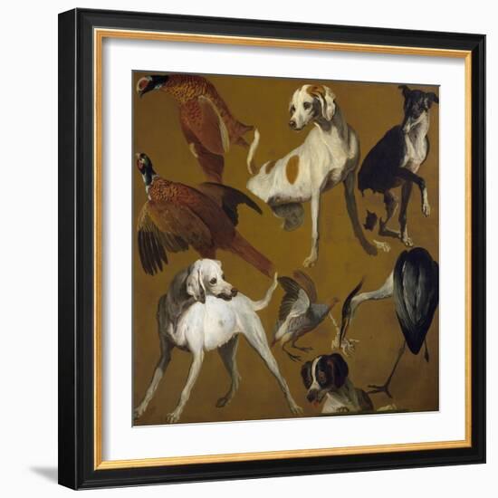 Study of Birds and Dogs, by Alexandre-Francois Desportes (1661-1743), France, 18th Century-Alexandre-Francois Desportes-Framed Giclee Print