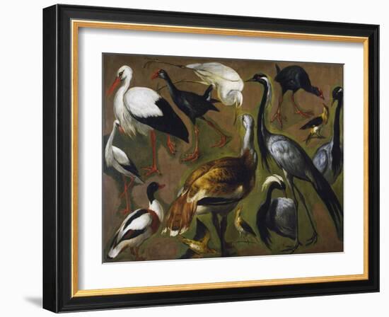 Study of Birds, by Alexandre-Francois Desportes (1661-1743), France, 18th Century-Alexandre-Francois Desportes-Framed Giclee Print