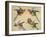 Study of Birds: Two Parrots, a Hoopoe and a Jay-Alexandre-Francois Desportes-Framed Giclee Print