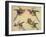 Study of Birds: Two Parrots, a Hoopoe and a Jay-Alexandre-Francois Desportes-Framed Giclee Print