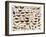 Study of Butterflies and Other Insects-Jan van Kessel the Elder-Framed Giclee Print