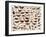 Study of Butterflies and Other Insects-Jan van Kessel the Elder-Framed Giclee Print