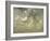 Study of Clouds-John Constable-Framed Giclee Print