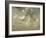 Study of Clouds-John Constable-Framed Giclee Print