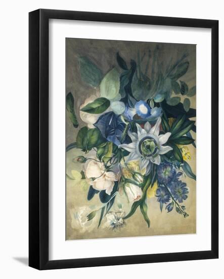 Study of Convulvulus, Passion Flower and Rose, c.1840-null-Framed Giclee Print