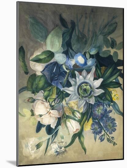 Study of Convulvulus, Passion Flower and Rose, c.1840-null-Mounted Giclee Print
