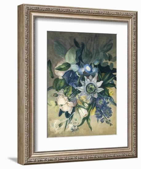 Study of Convulvulus, Passion Flower and Rose, c.1840-null-Framed Giclee Print