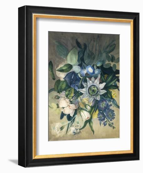 Study of Convulvulus, Passion Flower and Rose, c.1840-null-Framed Giclee Print