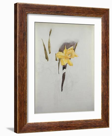 Study of Daffodils-George Wesley Bellows-Framed Giclee Print