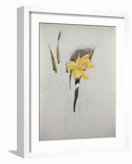 Study of Daffodils-George Wesley Bellows-Framed Giclee Print