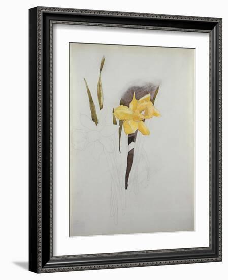 Study of Daffodils-George Wesley Bellows-Framed Giclee Print