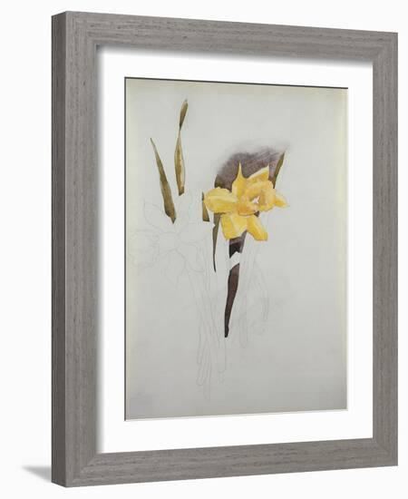 Study of Daffodils-George Wesley Bellows-Framed Giclee Print