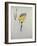 Study of Daffodils-George Wesley Bellows-Framed Giclee Print