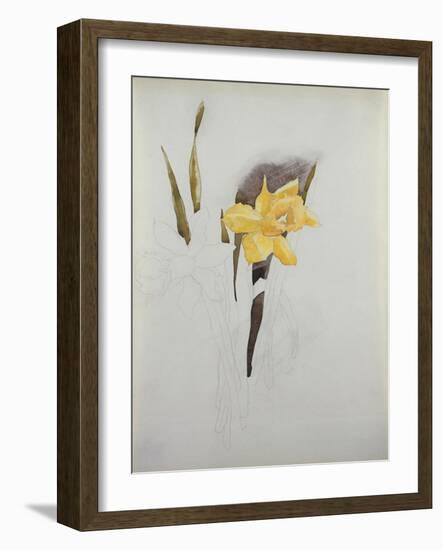 Study of Daffodils-George Wesley Bellows-Framed Giclee Print