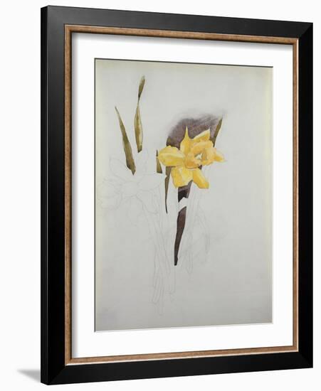 Study of Daffodils-George Wesley Bellows-Framed Giclee Print