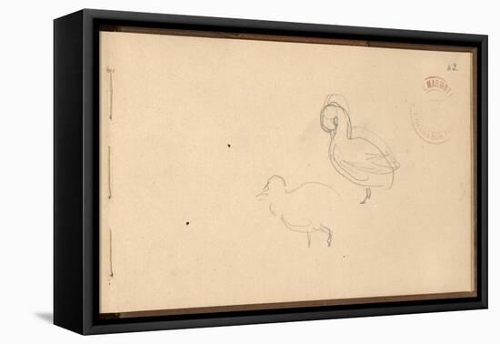 Study of Ducks (Pencil on Paper)-Claude Monet-Framed Premier Image Canvas