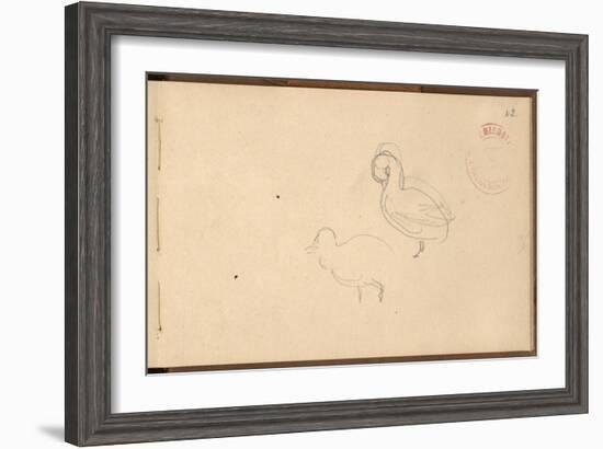 Study of Ducks (Pencil on Paper)-Claude Monet-Framed Giclee Print