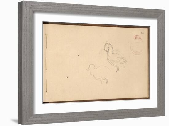 Study of Ducks (Pencil on Paper)-Claude Monet-Framed Giclee Print