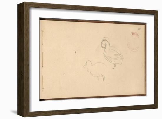 Study of Ducks (Pencil on Paper)-Claude Monet-Framed Giclee Print