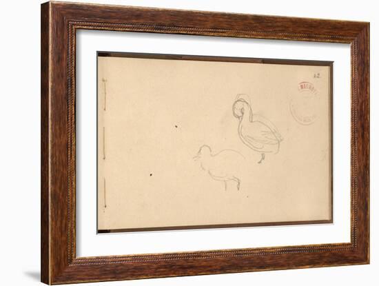 Study of Ducks (Pencil on Paper)-Claude Monet-Framed Giclee Print