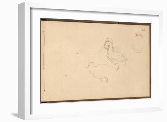 Study of Ducks (Pencil on Paper)-Claude Monet-Framed Giclee Print