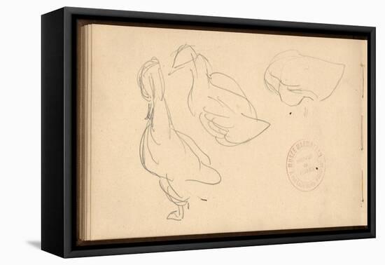 Study of Ducks (Pencil on Paper)-Claude Monet-Framed Premier Image Canvas