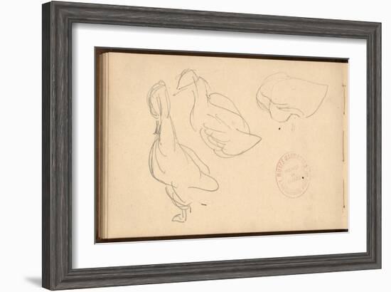 Study of Ducks (Pencil on Paper)-Claude Monet-Framed Giclee Print