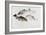 Study of Fish: Two Tench, a Trout and a Perch, C1822-1824-J. M. W. Turner-Framed Giclee Print