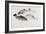 Study of Fish: Two Tench, a Trout and a Perch, C1822-1824-J. M. W. Turner-Framed Giclee Print