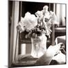 Study of Floral Arrangement-Edoardo Pasero-Mounted Photographic Print