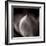 Study of Flower Bud-Edoardo Pasero-Framed Photographic Print