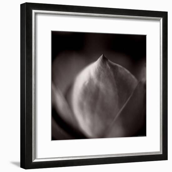 Study of Flower Bud-Edoardo Pasero-Framed Photographic Print