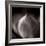 Study of Flower Bud-Edoardo Pasero-Framed Photographic Print