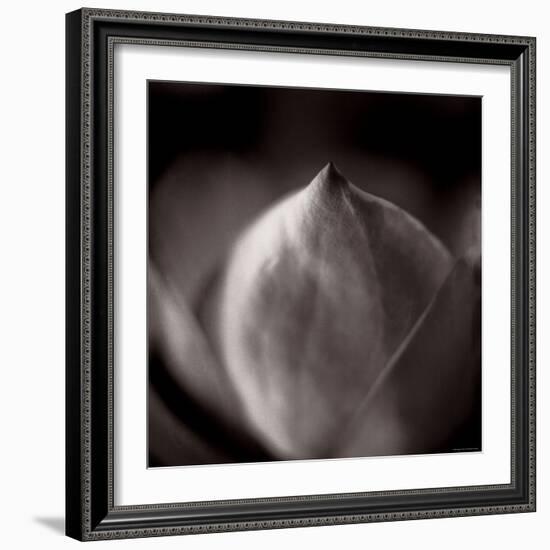 Study of Flower Bud-Edoardo Pasero-Framed Photographic Print