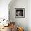 Study of Flower Bud-Edoardo Pasero-Framed Photographic Print displayed on a wall