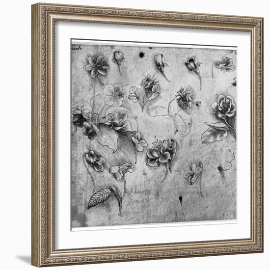 Study of Flowers, C1481-1483-Leonardo da Vinci-Framed Giclee Print