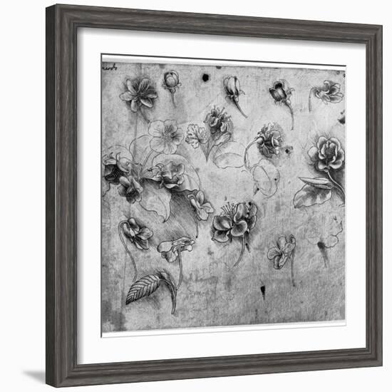 Study of Flowers, C1481-1483-Leonardo da Vinci-Framed Giclee Print